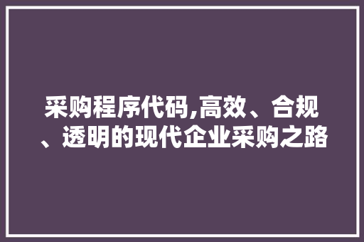 采购程序代码,高效、合规、透明的现代企业采购之路 SEO关键词
