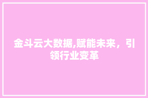 金斗云大数据,赋能未来，引领行业变革