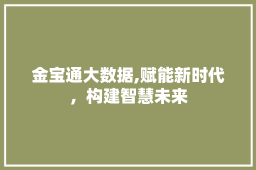 金宝通大数据,赋能新时代，构建智慧未来