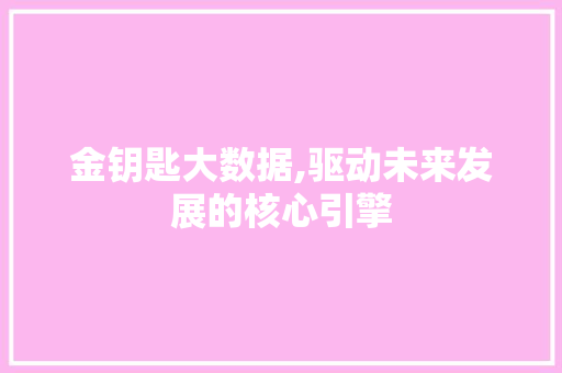 金钥匙大数据,驱动未来发展的核心引擎
