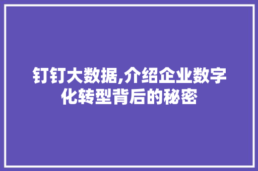 钉钉大数据,介绍企业数字化转型背后的秘密 SEO关键词