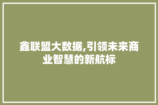 鑫联盟大数据,引领未来商业智慧的新航标 百度SEO