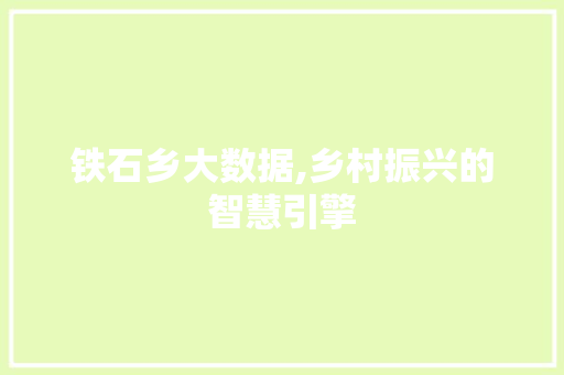 铁石乡大数据,乡村振兴的智慧引擎