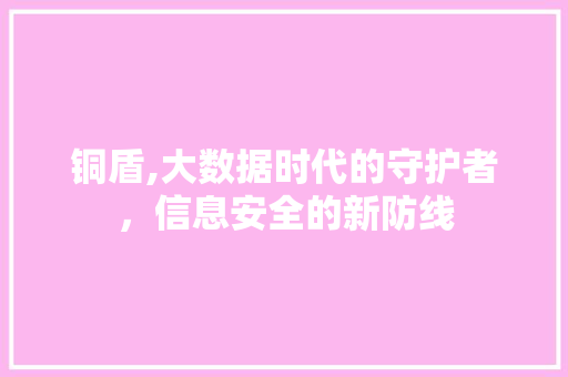 铜盾,大数据时代的守护者，信息安全的新防线