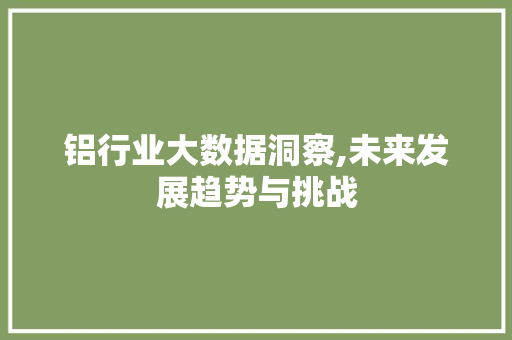 铝行业大数据洞察,未来发展趋势与挑战