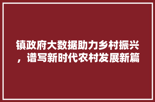 镇政府大数据助力乡村振兴，谱写新时代农村发展新篇章