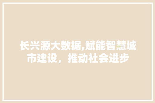 长兴源大数据,赋能智慧城市建设，推动社会进步