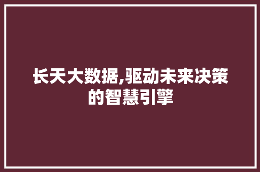 长天大数据,驱动未来决策的智慧引擎