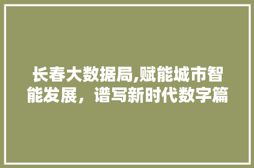 长春大数据局,赋能城市智能发展，谱写新时代数字篇章 神马SEO