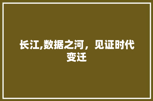 长江,数据之河，见证时代变迁 必应SEO