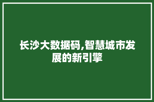 长沙大数据码,智慧城市发展的新引擎