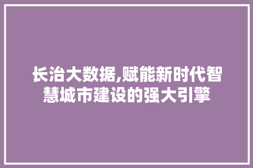 长治大数据,赋能新时代智慧城市建设的强大引擎