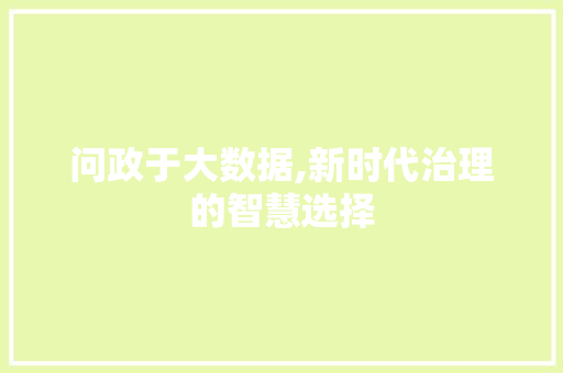 问政于大数据,新时代治理的智慧选择