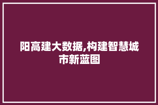 阳高建大数据,构建智慧城市新蓝图
