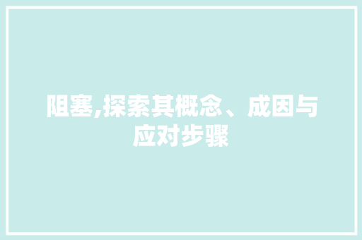 阻塞,探索其概念、成因与应对步骤