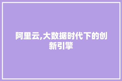阿里云,大数据时代下的创新引擎 百度SEO