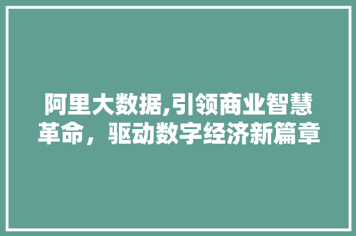 阿里大数据,引领商业智慧革命，驱动数字经济新篇章 网站建设公司