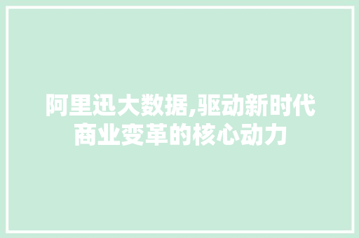 阿里迅大数据,驱动新时代商业变革的核心动力