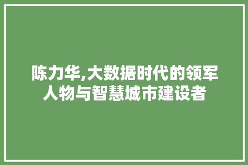 陈力华,大数据时代的领军人物与智慧城市建设者 神马SEO