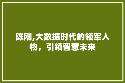 陈刚,大数据时代的领军人物，引领智慧未来