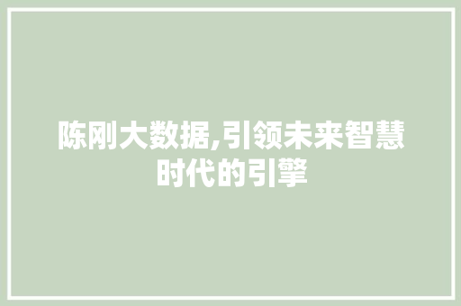 陈刚大数据,引领未来智慧时代的引擎 必应SEO