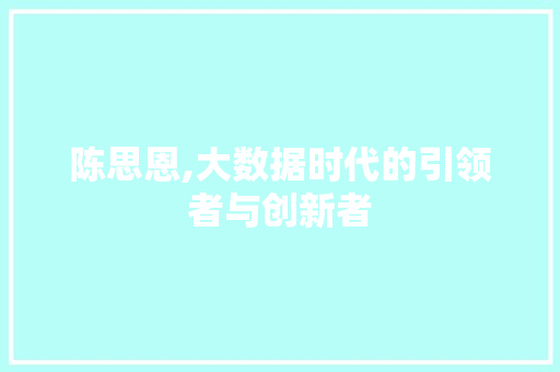 陈思恩,大数据时代的引领者与创新者 百度SEO