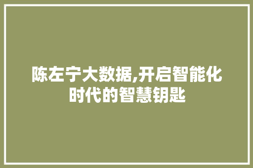 陈左宁大数据,开启智能化时代的智慧钥匙