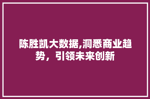 陈胜凯大数据,洞悉商业趋势，引领未来创新 神马SEO
