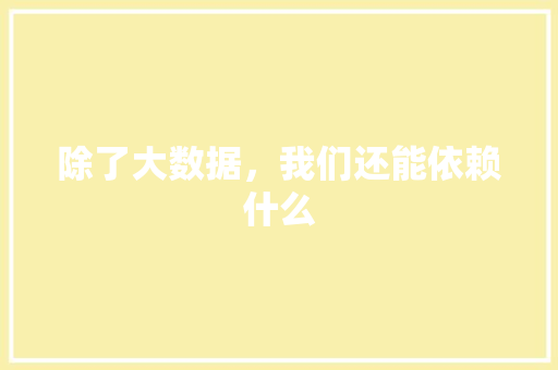 除了大数据，我们还能依赖什么 百度SEO