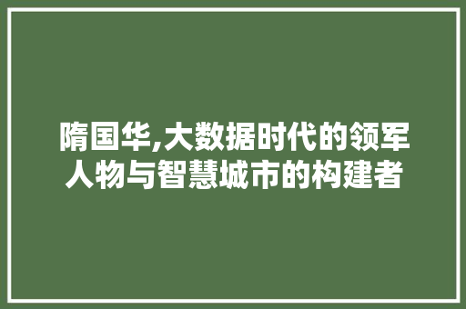 隋国华,大数据时代的领军人物与智慧城市的构建者