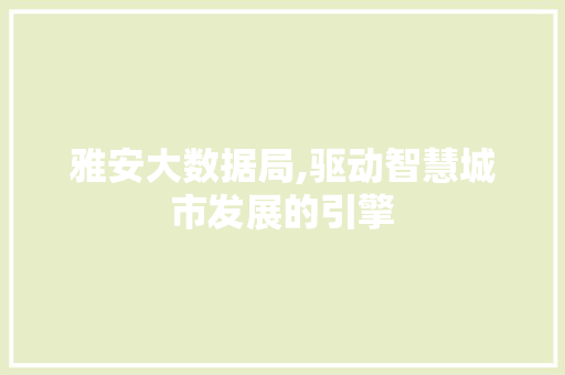 雅安大数据局,驱动智慧城市发展的引擎 搜狗SEO