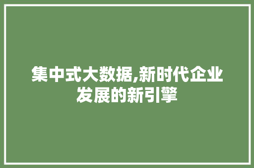集中式大数据,新时代企业发展的新引擎 搜狗SEO