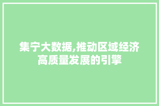 集宁大数据,推动区域经济高质量发展的引擎 网站建设公司