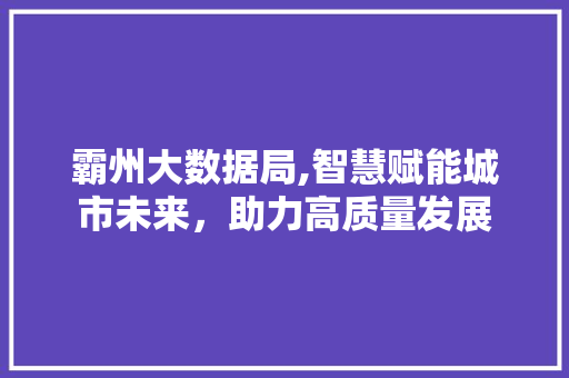 霸州大数据局,智慧赋能城市未来，助力高质量发展