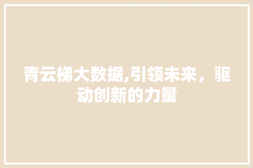 青云梯大数据,引领未来，驱动创新的力量