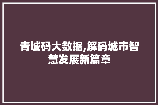 青城码大数据,解码城市智慧发展新篇章