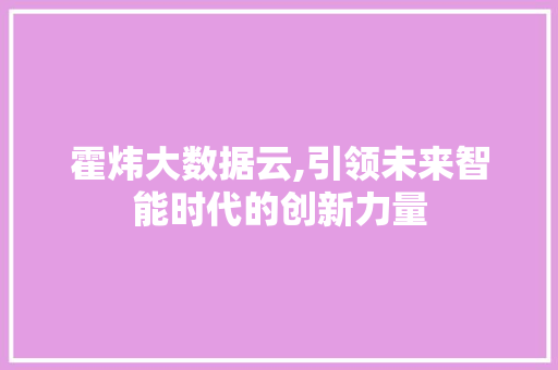 霍炜大数据云,引领未来智能时代的创新力量