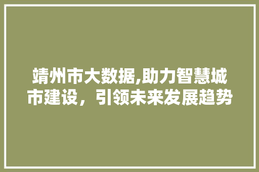 靖州市大数据,助力智慧城市建设，引领未来发展趋势