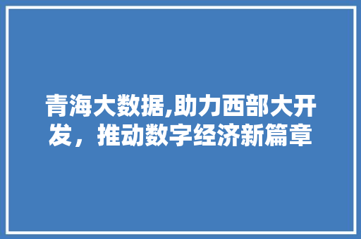 青海大数据,助力西部大开发，推动数字经济新篇章
