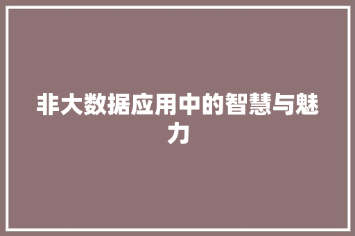 非大数据应用中的智慧与魅力