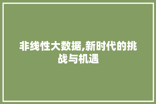 非线性大数据,新时代的挑战与机遇