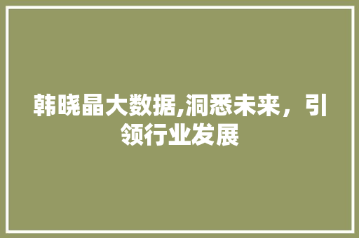 韩晓晶大数据,洞悉未来，引领行业发展