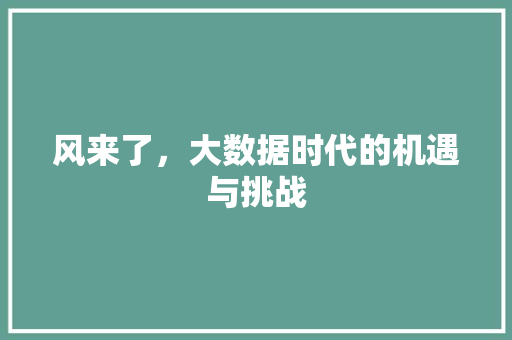 风来了，大数据时代的机遇与挑战
