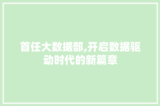 首任大数据部,开启数据驱动时代的新篇章