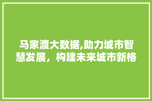 马家渡大数据,助力城市智慧发展，构建未来城市新格局 神马SEO