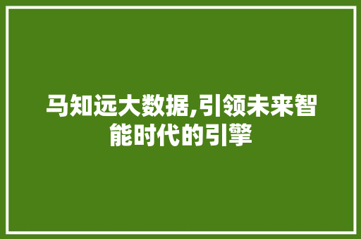 马知远大数据,引领未来智能时代的引擎 搜狗SEO