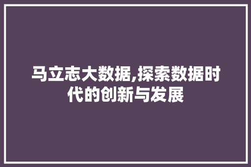 马立志大数据,探索数据时代的创新与发展