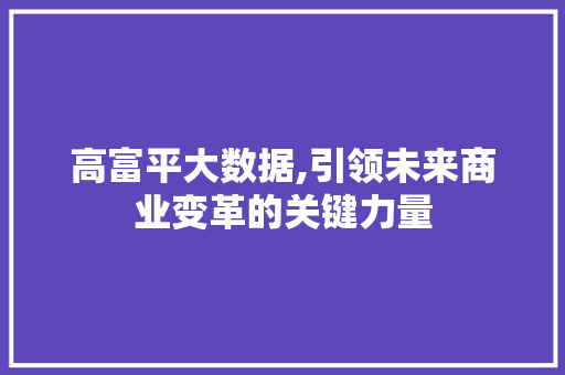 高富平大数据,引领未来商业变革的关键力量