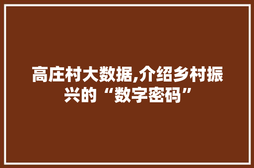 高庄村大数据,介绍乡村振兴的“数字密码”
