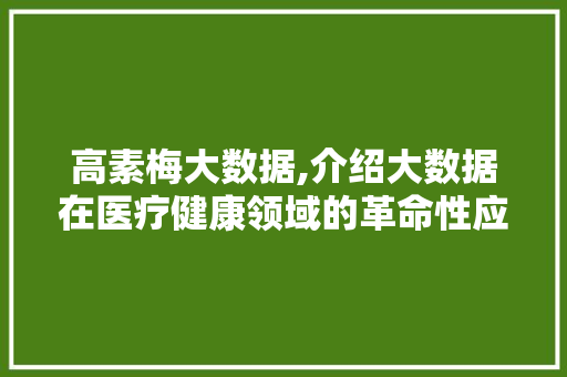 高素梅大数据,介绍大数据在医疗健康领域的革命性应用